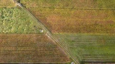 Kırsal arazinin havadan çekilmiş görüntüsü. Yukarıdan görülen güzel çayır.