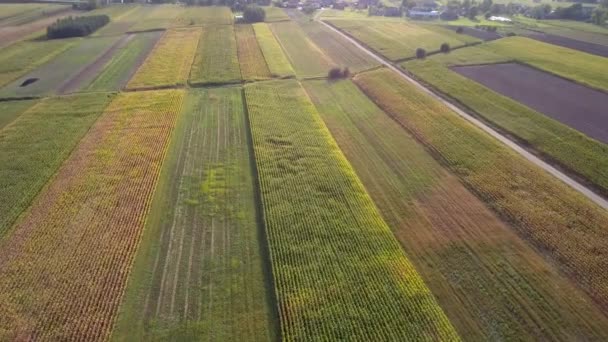 Vue aérienne du paysage rural. Belle prairie vue d'en haut .