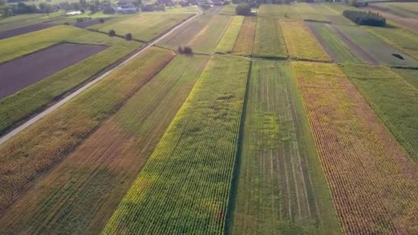 Vue aérienne du paysage rural. Belle prairie vue d'en haut .
