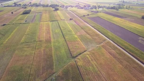 Vista Aérea Del Paisaje Rural Hermoso Prado Visto Desde Arriba — Vídeos de Stock