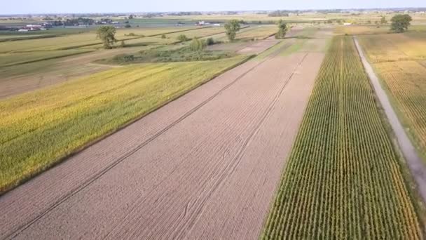 农村景观的空中拍摄 从上面看的美丽草地 — 图库视频影像
