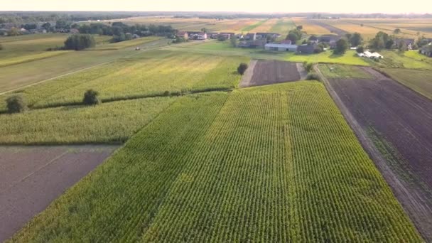 Kırsal Arazinin Havadan Çekilmiş Görüntüsü Yukarıdan Görülen Güzel Çayır — Stok video