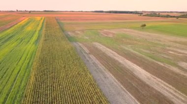 Kırsal arazinin havadan çekilmiş görüntüsü. Yukarıdan görülen güzel çayır.