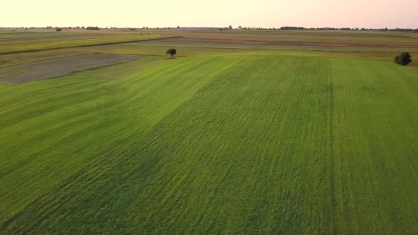 Kırsal Arazinin Havadan Çekilmiş Görüntüsü Yukarıdan Görülen Güzel Çayır — Stok video