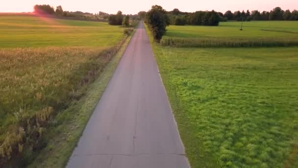 Luftaufnahme Der Ländlichen Landschaft Schöne Wiese Von Oben Gesehen — Stockvideo