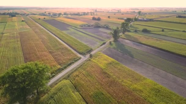 农村景观的空中拍摄 从上面看的美丽草地 — 图库视频影像