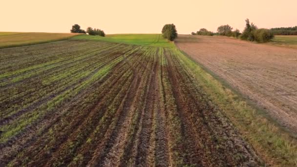 Lotnicze Strzał Krajobrazu Wiejskiego Piękna Łąka Widziana Góry — Wideo stockowe