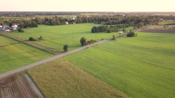 Vista Aérea Del Paisaje Rural Hermoso Prado Visto Desde Arriba — Vídeo de stock