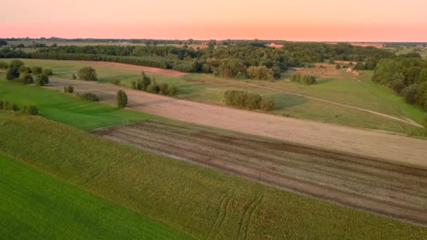 Antenn Skott Landsbygdens Landskap Vacker Äng Sedd Ovanifrån — Stockvideo