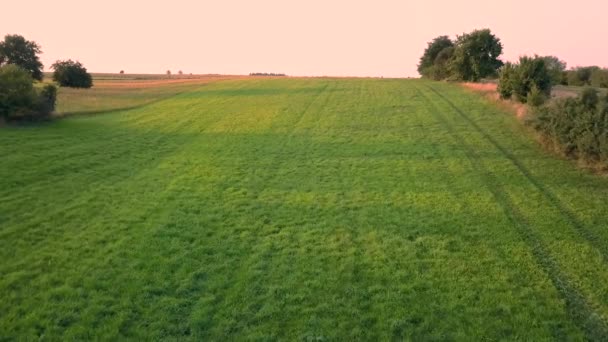 Vista Aérea Del Paisaje Rural Hermoso Prado Visto Desde Arriba — Vídeo de stock