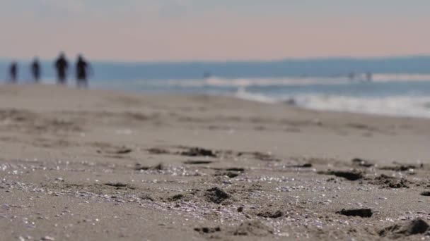 Persone Che Riposano Sulla Spiaggia Sicialy Italia — Video Stock