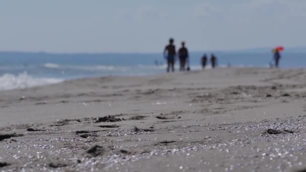 Ludzie Odpoczynek Plaży Sicialy Włochy — Wideo stockowe