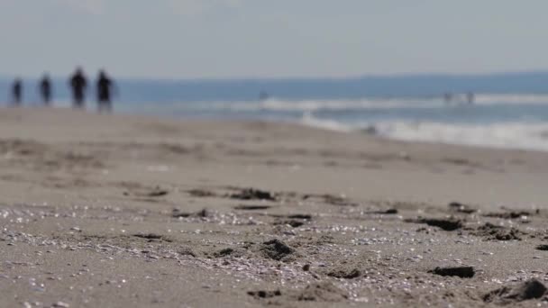 People Resting Beach Sicialy Italy — Stock Video