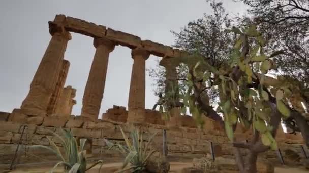 Tempel Valle Del Templi Sicilien Gamla Tempel Landmärken Sicilien — Stockvideo