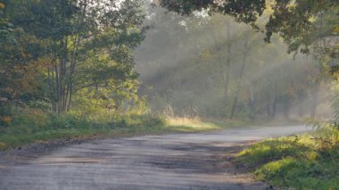 Güzel sabah ışığında yerel yol. Güneş ışınları renkli Leafs üzerinden kırma.