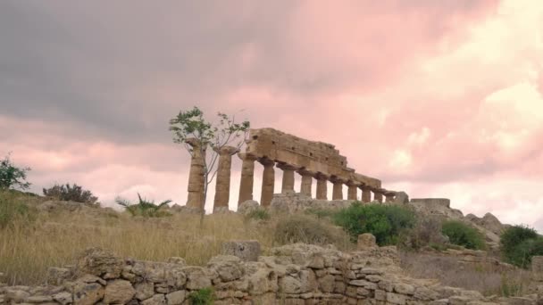 Selinunte Archäologischen Park Sizilien Ruinen Des Tempels Sizilien — Stockvideo