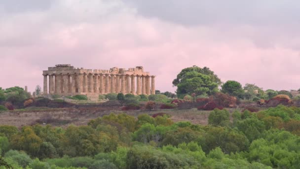 Parque Arqueológico Selinunte Sicilia Ruinas Del Templo Sicilia — Vídeo de stock