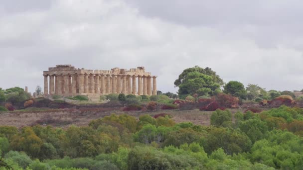 塞林蒙特考古公园 西西里岛 西西里岛寺庙的废墟 — 图库视频影像