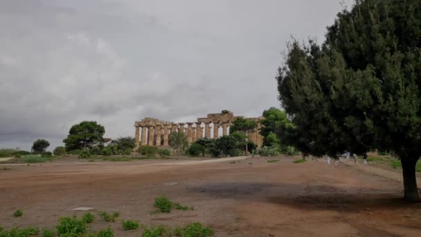 Selinunte Arkeolojik Park Sicilya Sicilya Tapınağı Kalıntıları — Stok video