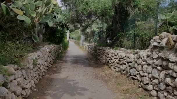 Jalan Taman Hijau Atau Alam Italia Stok Video Bebas Royalti