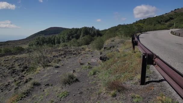 Landschap Etna Vulkaan Sicilië Italië — Stockvideo