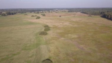Avrupa kırsal manzarası yukarıdan görünüyor. Avrupa 'da doğanın hava görüntüsü.