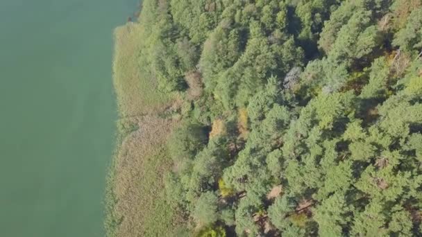 Luchtfoto Beeldmateriaal Van Meer Zomer — Stockvideo