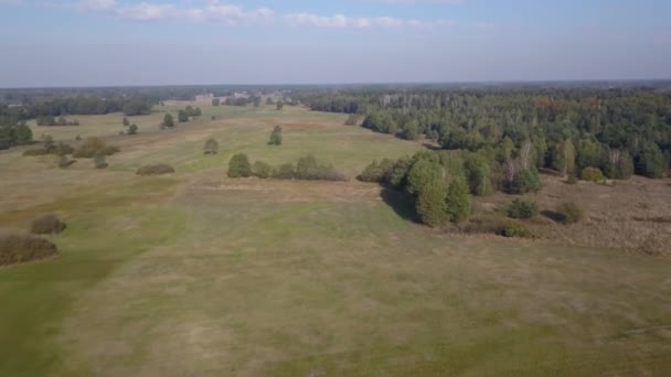 从上面看到的欧洲农村景观 欧洲的空中拍摄自然 — 图库视频影像