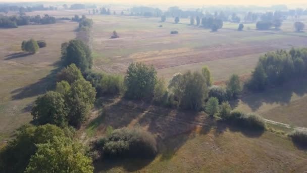 Europees Landelijk Landschap Van Bovenaf Bekeken Luchtfoto Van Natuur Europa — Stockvideo