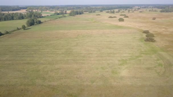 Ευρωπαϊκό Αγροτικό Τοπίο Από Ψηλά Αεροφωτογραφία Της Φύσης Στην Ευρώπη — Αρχείο Βίντεο