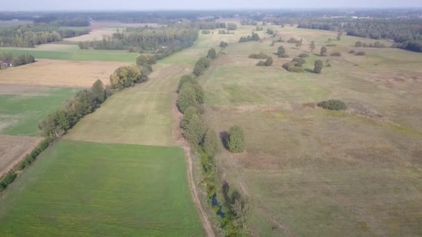 Paisaje Rural Europeo Visto Desde Arriba Fotografía Aérea Naturaleza Europa — Vídeo de stock