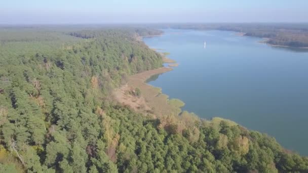 Letecké Záběry Jezera Létě — Stock video