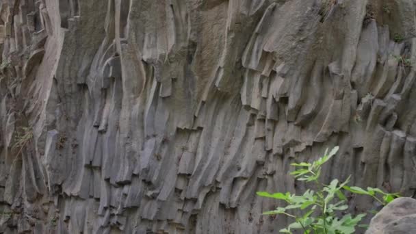 Fiume Alcantara Sicilia Canyon Con Cascate Interessanti Formazioni Rocciose Natura — Video Stock