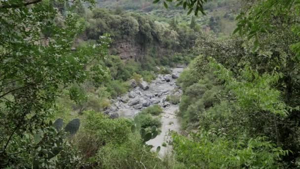 Fiume Alcantara Sicilia Canyon Con Cascate Interessanti Formazioni Rocciose Natura — Video Stock