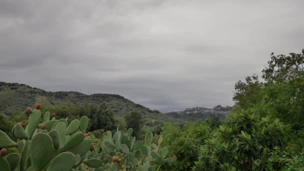 Panorama Van Prachtige Natuur Van Sicilië — Stockvideo