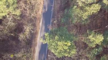 Yolun ormanın ortasında. Ağaçlar ve sonbahar ışık yol.