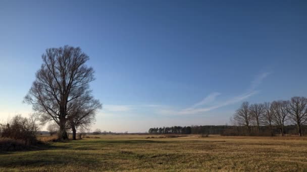 Nuvole Timelapse Che Muovono Sul Campo Paesaggio Primaverile — Video Stock