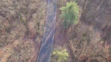 Yolun ormanın ortasında. Ağaçlar ve sonbahar ışık yol.