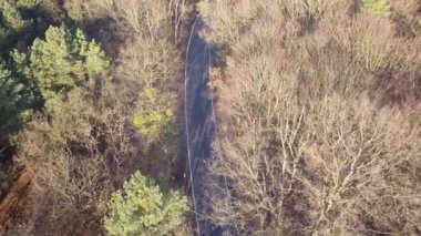 Yolun ormanın ortasında. Ağaçlar ve sonbahar ışık yol.