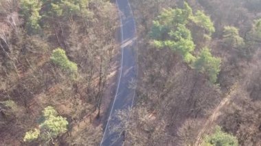 Yolun ormanın ortasında. Ağaçlar ve sonbahar ışık yol.