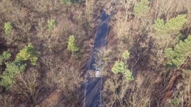 Yolun ormanın ortasında. Ağaçlar ve sonbahar ışık yol.