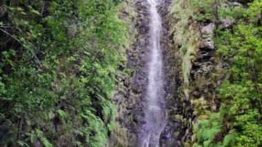 25 Fontes Madeira düşüyor. Yeşil tepeler ve ormanların midlle güzel şelale.