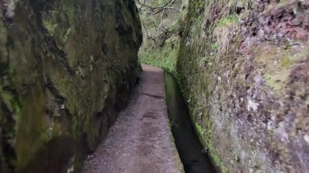 Levada Madeira Toeristisch Pad Het Lente Eiland — Stockvideo