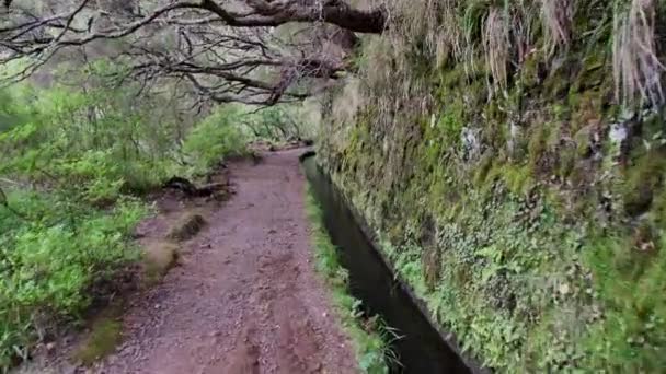 Levada Madeira Toeristisch Pad Het Lente Eiland — Stockvideo