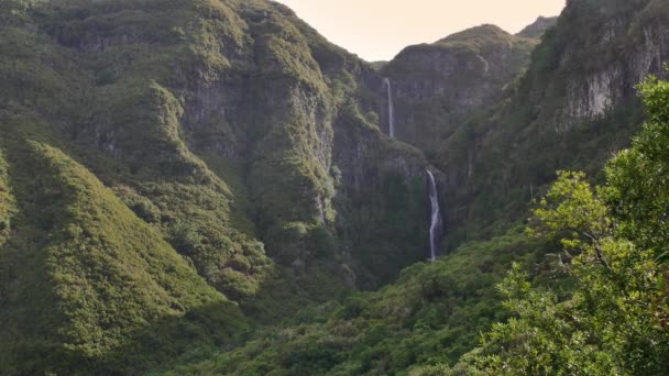 Risco Waterfall Madeira Island — Stock Video