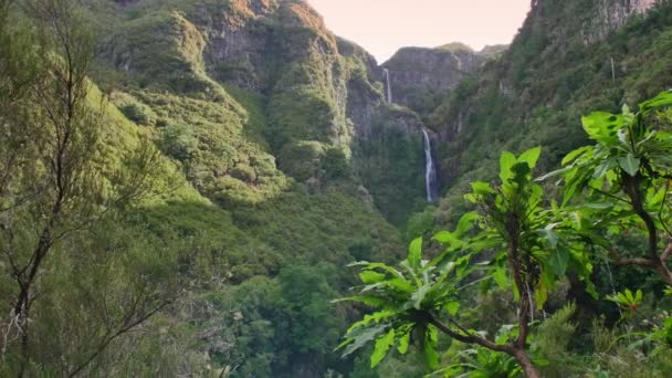 Risco Waterfall Madeira Island — Stock Video