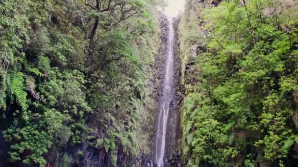 Fontes Cade Madeira Bella Cascata Nel Mezzo Verdi Colline Boschi — Video Stock