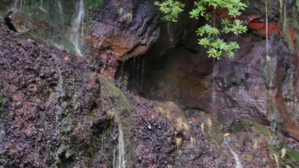Fontes Caem Sobre Madeira Cachoeira Bonita Meio Colinas Verdes Bosques — Vídeo de Stock