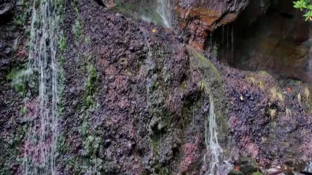 Fontes Cae Sobre Madeira Hermosa Cascada Medio Verdes Colinas Bosques — Vídeos de Stock