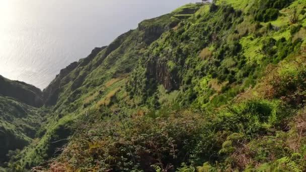 Madeira Tájképe Zöld Dombok Gyönyörű Erdők Meleg Napfényben — Stock videók